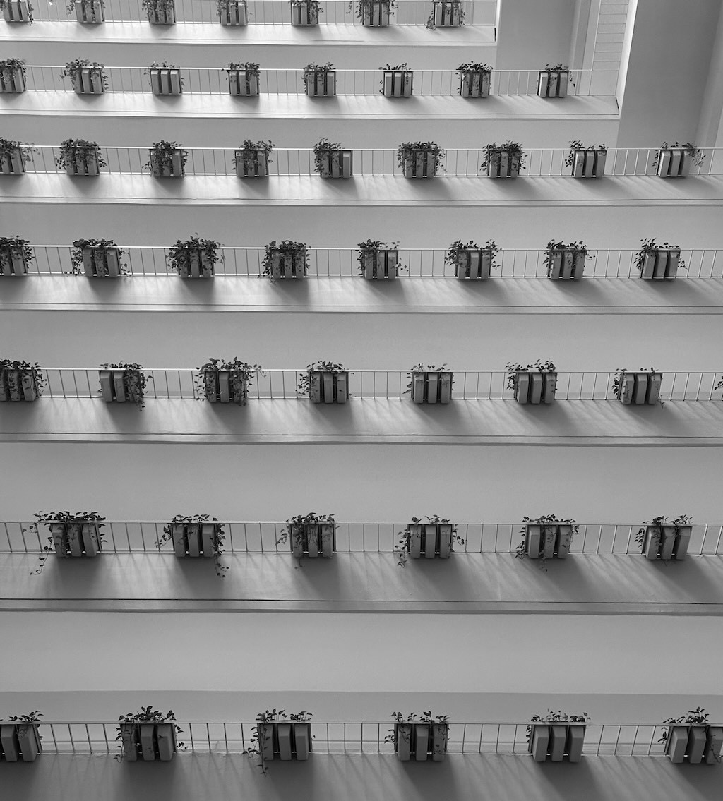 Rows of small potted plants lining balcony railings in a building atrium, seen from below